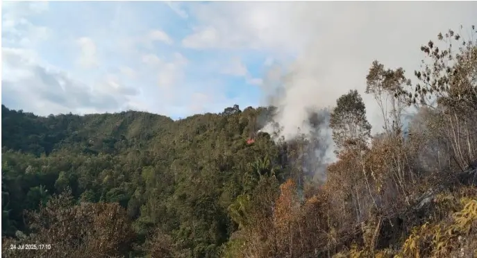 Perkembangan Situasi dan Penanganan Bencana di Tanah Air Tanggal 28 Juli 2025